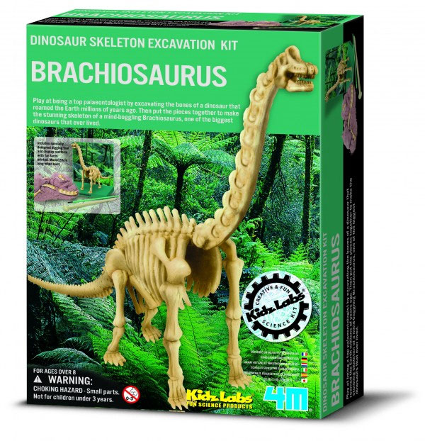 KidzLab Brachiosaurus Skelet