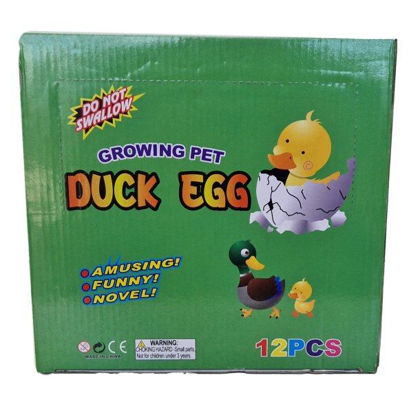 Growing Egg DUCK 