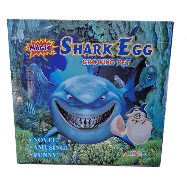 Growing Egg SHARK