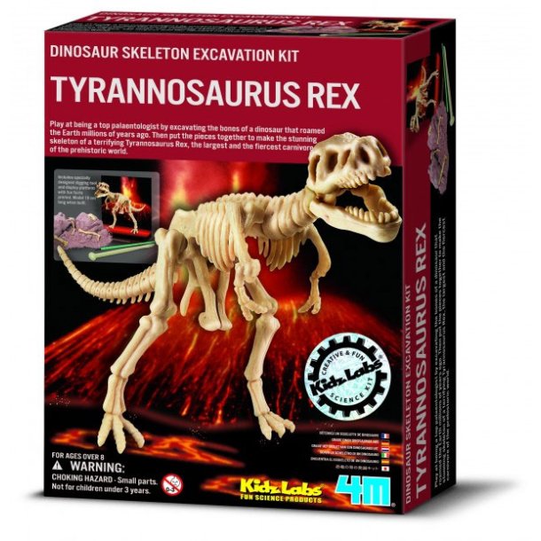 KidzLab Tyrannosaurus Rex Skelet - arkolog st til brn