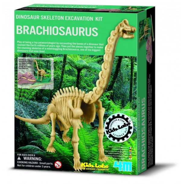 KidzLab Brachiosaurus Skelet