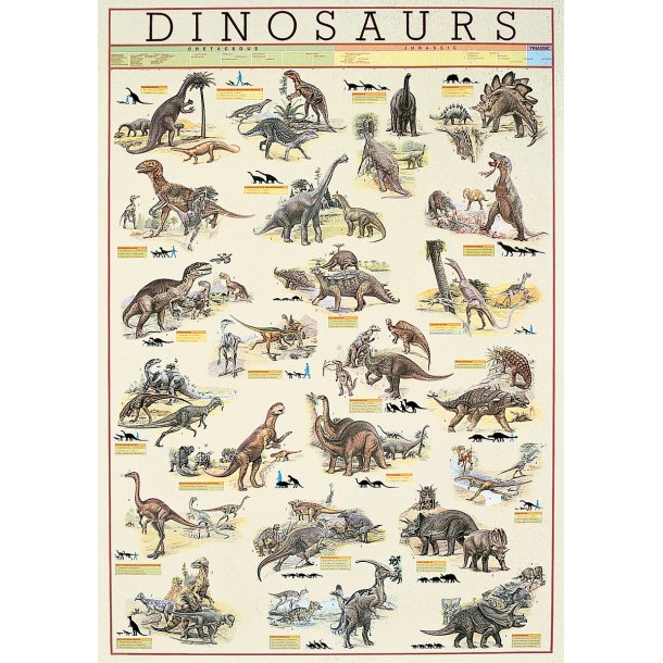 Dinosaur Plakat m. info - 60 x 90 cm