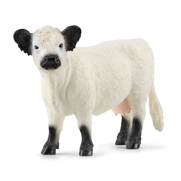 Galloway ko-Schleich