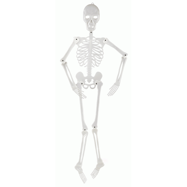 Halloween Skelet 160 cm - som kan hnge