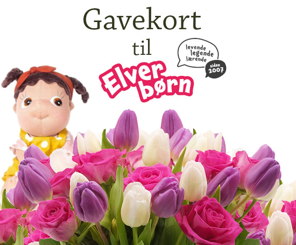 Gavekort - 100 kr